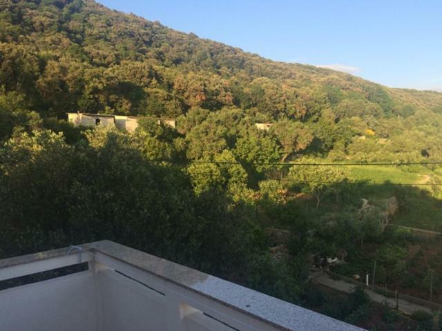 Apartman Supetarska Draga Exterior foto